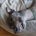 Rob (@robinwi59186476) Twitter profile photo Rob (@robinwi59186476) Twitter profile photo