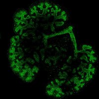 Bath Centre for Therapeutic Innovation (@cti_bath) 's Twitter Profile