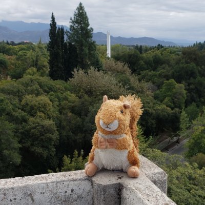 JuliKM3's profile picture. Trust me, I'm a Data Engineer