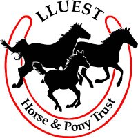 Lluest Horse and Pony Trust(@LluestPonyTrust) 's Twitter Profile Photo