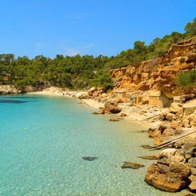 ali_ff1's profile picture. 