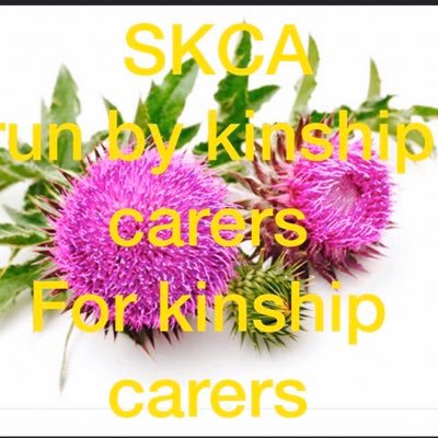 Scottish Kinship Care Alliance has been set up to address the inequality that besets children in Kinship Care Join us in our challenge to eradicate injustice.