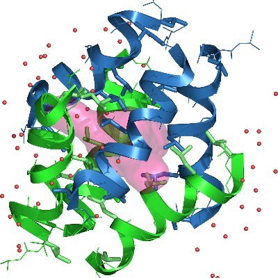 Foldamer Chemistry, Chemical Biology & Molecular Recognition with foldamers research lab at CBMN, @iecb_bordeaux, @CNRS & @univbordeaux.