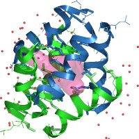 Guichard_Lab (@guichard_lab) 's Twitter Profile Photo Guichard_Lab (@guichard_lab) 's Twitter Profile Photo