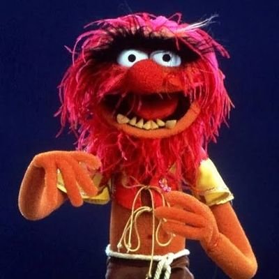 avokadoyapragi's profile picture. sans foi ni loi