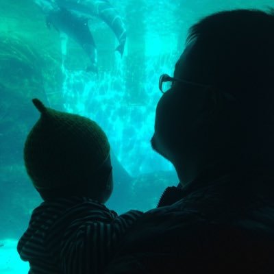 kimita_rep39's profile picture. アルダブラゾウガメ・ケヅメリクガメ・ヒョウモンリクガメ・フトアゴヒゲトカゲ・パンサーカメレオンアンビローブエクストリームレッド♂と♀・パンサーカメレオンアンビローブ♀・ミニチュアシュナウザー飼育してます💕キミタロウ家の珍道中を日記感覚で発信中📲 爬虫好きの皆様無言フォロー・無言申請大歓迎です♪よろしくお願いします