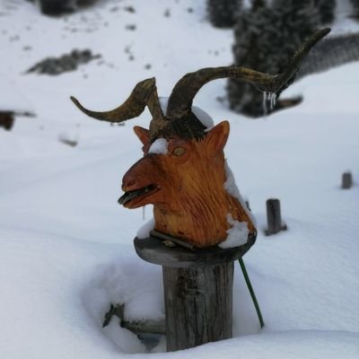 schwejk_josef's profile picture. Pouze jsem zde, abych rekreačně trolloval.