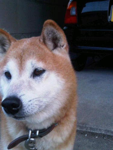 hamaeijyutaku's profile picture. 志摩から県内外へ向けて情報を発信したい！志摩市という場所をもっと色んな人に知ってもらいたい！その思いから始めました！もちろん物件も買ってほしいですけど(^^;)
よろしくお願いします！
メルマガも始めました↓
http://t.co/yiJ0GjPx5l