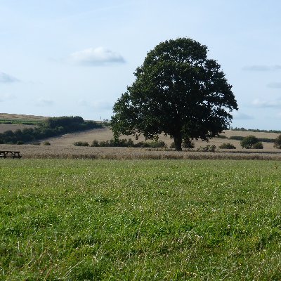 GoOnSmile1's profile picture. Small business owner, parent, lover of the natural world, currently despairing of the human race.