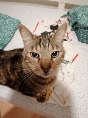 BalangerAmandi1's profile picture. 