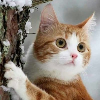 kardelen1_3's profile picture. 