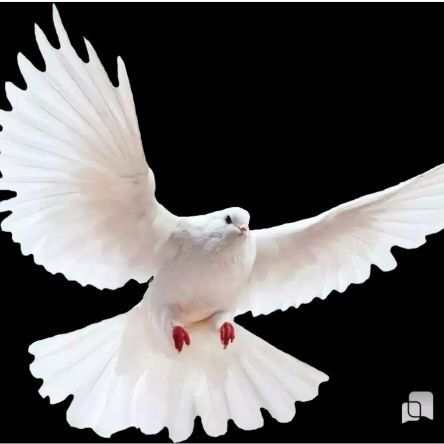 ESAKKIMARI15's profile picture. mari