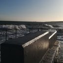 Suzanne Healy - @bajpet - Twitter