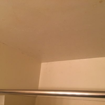 notamirror's profile picture. Oh, miss, you like nerdy things!