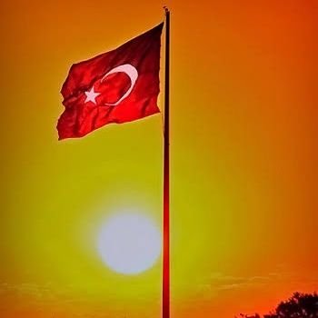 FzErol's profile picture. İnsanlardan bir insan