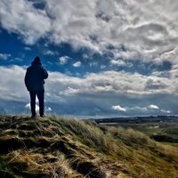 Dave Edmondson (@festucaman) 's Twitter Profile