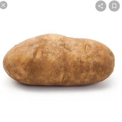 Potato