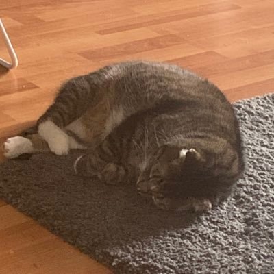 BlakMizo's profile picture. 