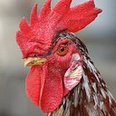 Greg Anson - @porsche_power - Twitter