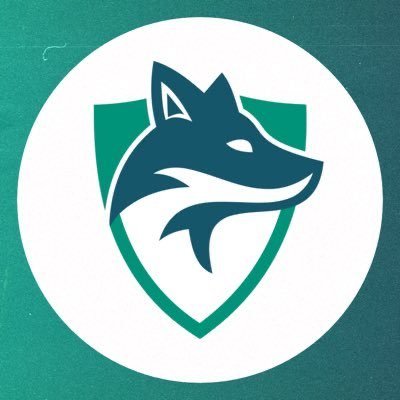 The Official Twitter Account of Skyfoxes. Est. 2018. | For Biz: Contact@Skyfoxes.com | Powered by: @ViteRamen | #FoxesTakeFlight🦊