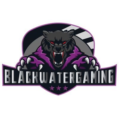 Founder/Co-owner of BlackWaterGaming.
https://t.co/1WsWa0D3Tx