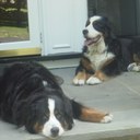 Sean Rosen - @seancounty - Twitter