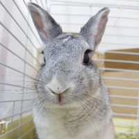 Tana㌠🐰 (@tana3team) 's Twitter Profile Photo Tana㌠🐰 (@tana3team) 's Twitter Profile Photo
