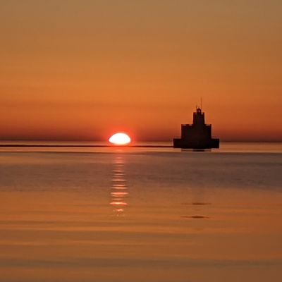 TrendingEntropy's profile picture. activist, organizer, writer.
BLM
ACAB
AND WE BUCKIN BACK