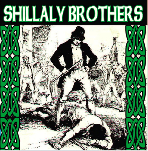 ShillalyBros's profile picture. Original Celtic-influenced music, featured on White Irish Drinkers and Burn Notice.  Made the short list for a Best Original Song Academy Award for Pop, 2011.