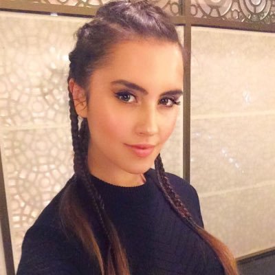 highpolymodel's profile picture. ⋲ ⏧ ⌽ ⊤┊⊂