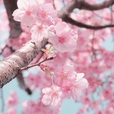 Neekaさんのプロフィール画像