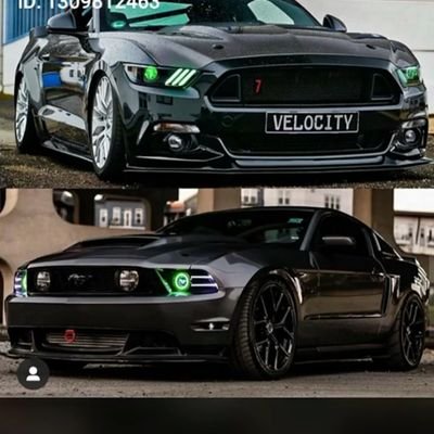 MouraArr's profile picture. Tóp