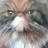 wsuslansky's profile image