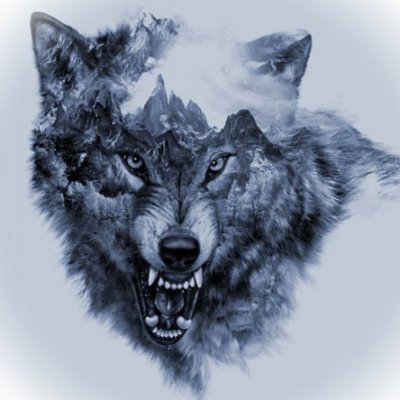 Q8KEEE's profile picture. 