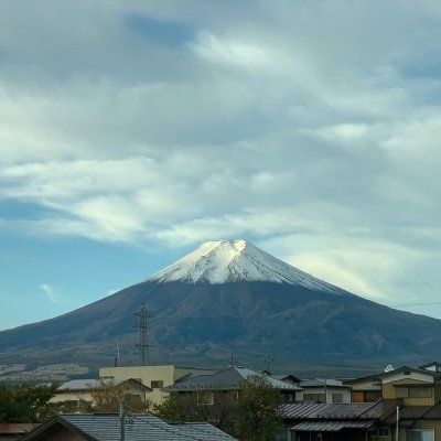 mongoos41693600's profile picture. 