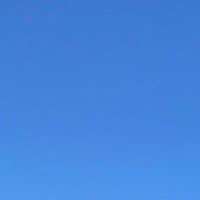 らんちょ (@rantyo0502) 's Twitter Profile