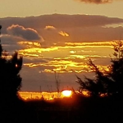 RusellWest's profile picture. 