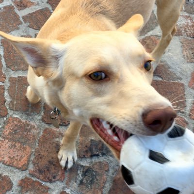 Mona26702634's profile picture. 