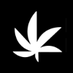 Marijuana Matters (@m2_org) Twitter profile photo Marijuana Matters (@m2_org) Twitter profile photo
