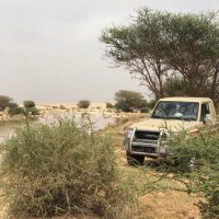 عبدالرحمن النتيفات (@alntefat) Twitter profile photo