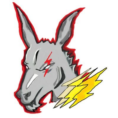 FIRST Robotics (FRC) Team 7740 Iron Donkeys from Hidalgo, Mexico | Since 2018 | https://t.co/XMK2ssssVd | #ElMiedoNoAndaEnBurro