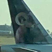 Ram Nation (@sframnation) 's Twitter Profile