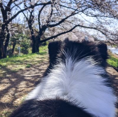 chrsk_12's profile picture. TUS