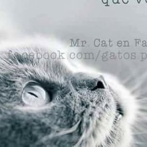 love_respect__'s profile picture. 