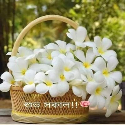 Sani19821's profile picture. A blogger about health,family & relationship.