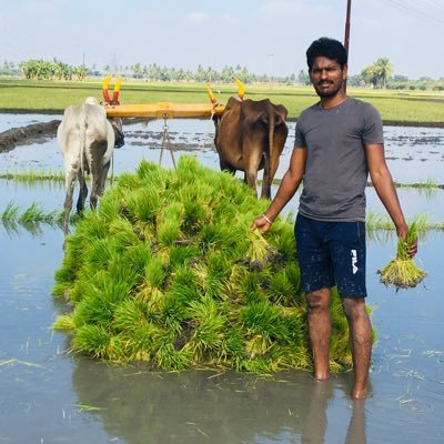 sairam1801's profile picture. 