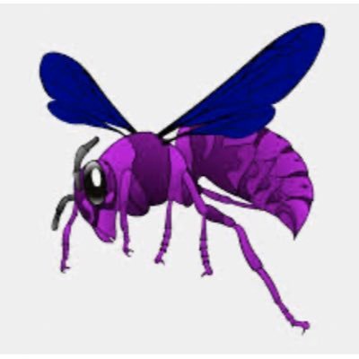 purplehornet_ Profile Picture