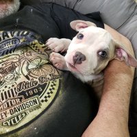 Randy (@randy34034779) 's Twitter Profile