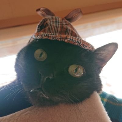 ニャーロックさんのプロフィール画像