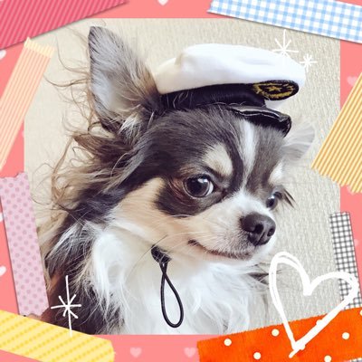 声優ｦﾀｸで乙女ｹﾞｰﾏｰ！Trignal大好き！黄色推し。20↑愛犬大好き💕好きなことを好きな時に呟いてます。